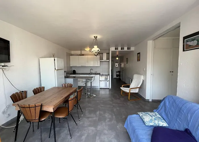 Renove T3, 6 Couchages, Proche Et Commerces, Parking Securise, Animaux Acceptes - Fr-1-106-56 Saint-Cyprien (Pyrenees-Orientales)