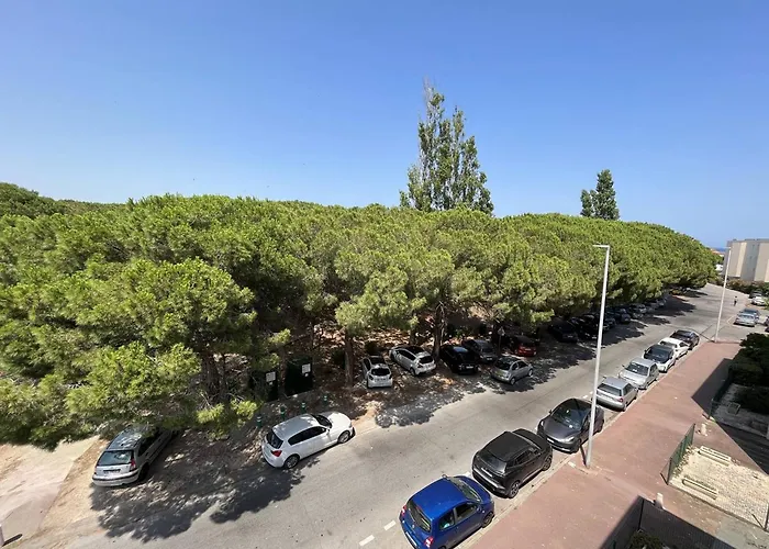 Apartmán Renove T3, 6 Couchages, Proche Et Commerces, Parking Securise, Animaux Acceptes - Fr-1-106-56 Saint-Cyprien (Pyrenees-Orientales)